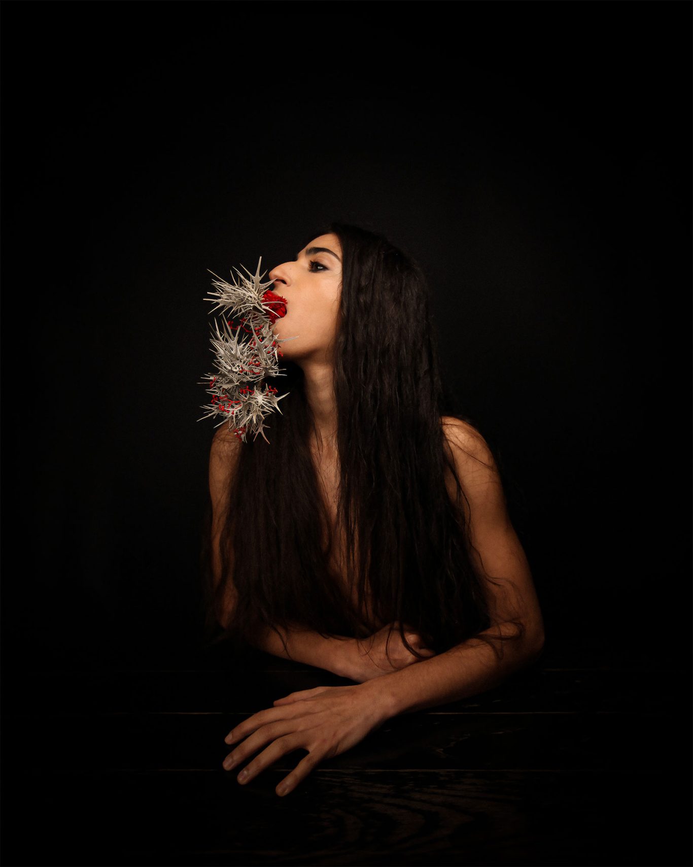 Cardo Borriquero Alba Flores by Raul Rosillo