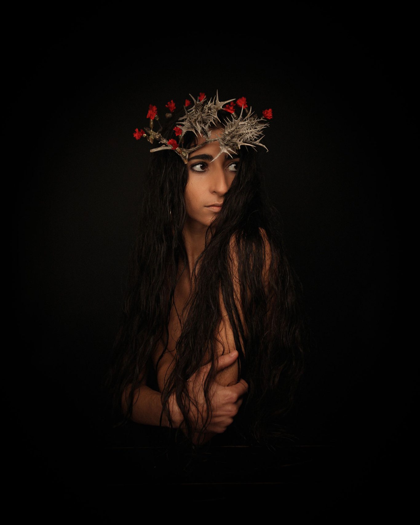 Cardo Borriquero Alba Flores by Raul Rosillo