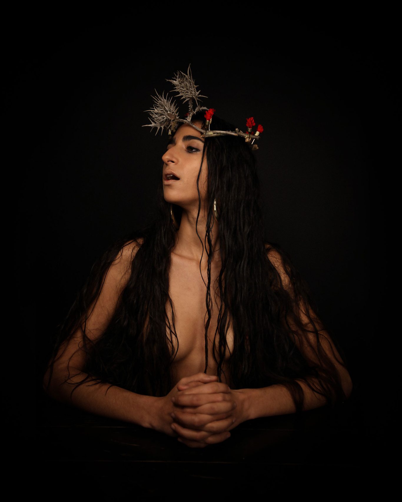 Cardo Borriquero Alba Flores by Raul Rosillo