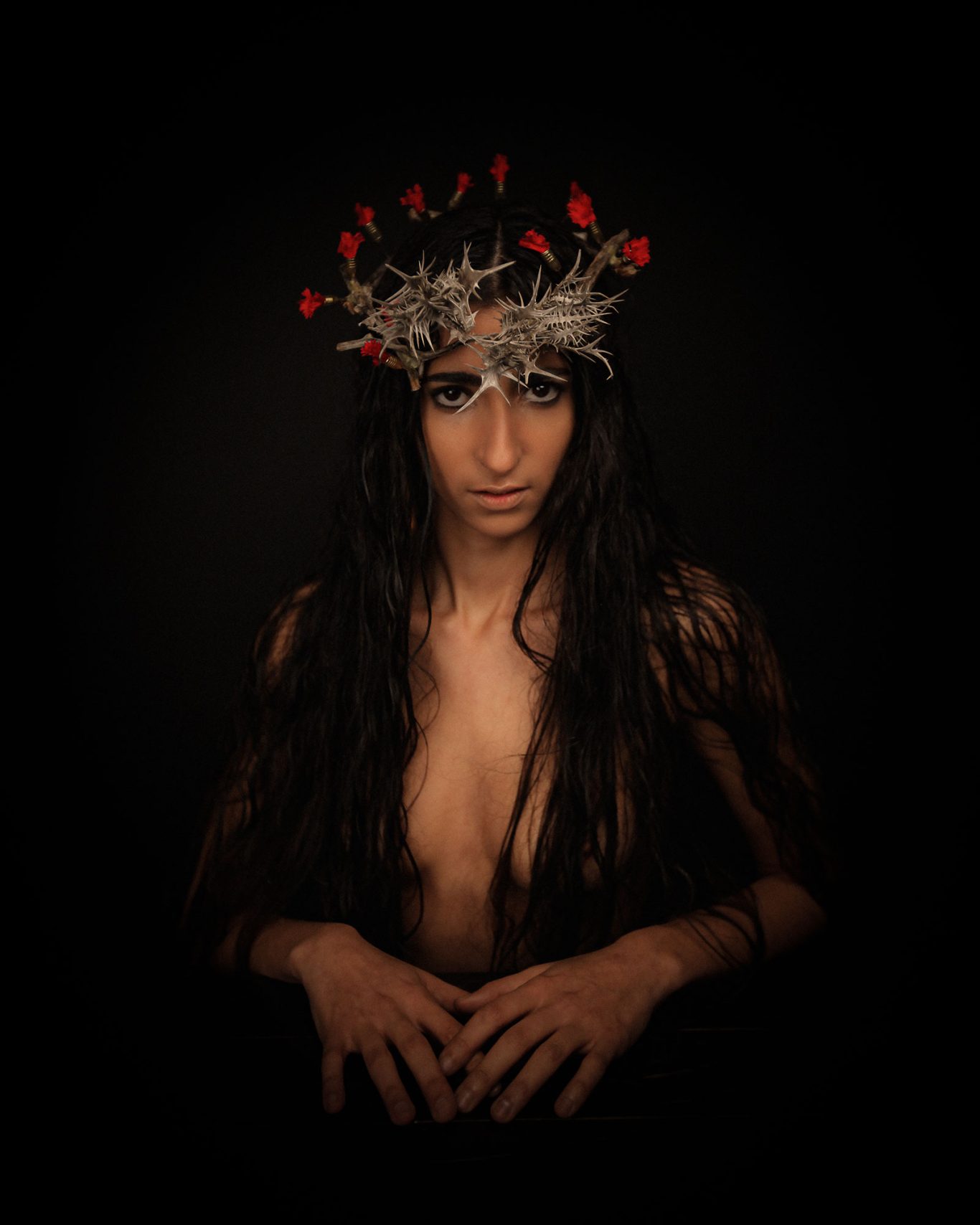 Cardo Borriquero Alba Flores by Raul Rosillo