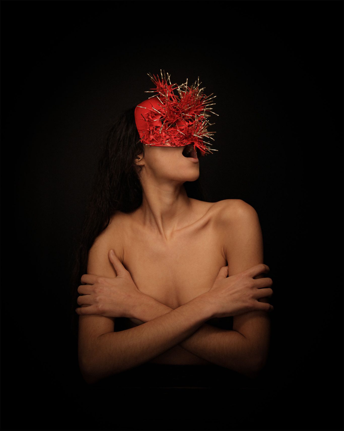 Cardo Borriquero Alba Flores by Raul Rosillo