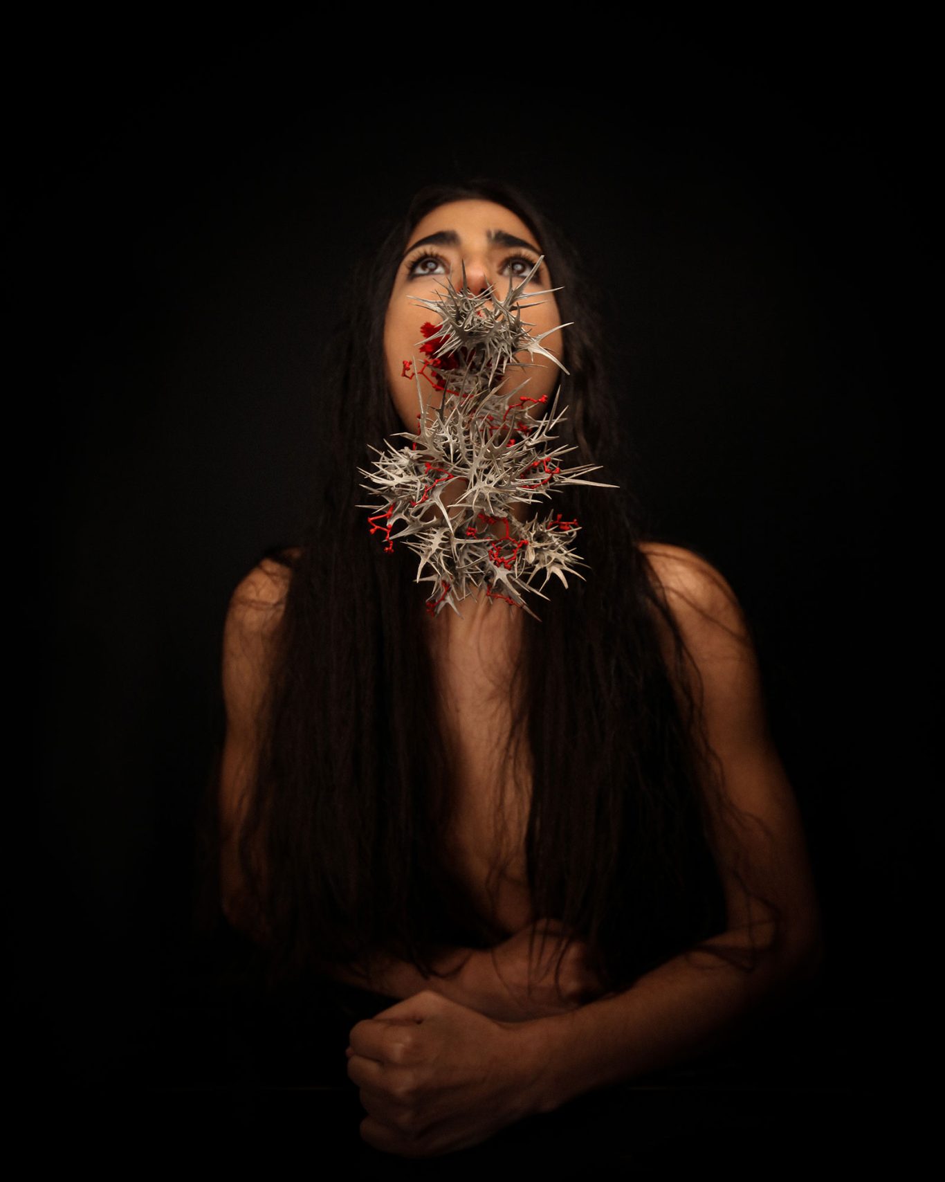 Cardo Borriquero Alba Flores by Raul Rosillo